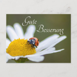 Gute Besserung mit Glücks-Marienkäfer Briefkaart