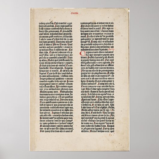Gutenberg genesis p 3 poster (Voorkant)