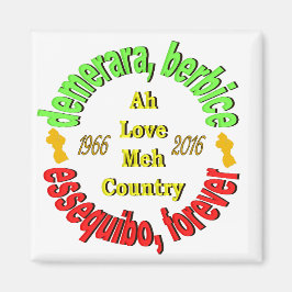 Guyana 3 graafschappen 3" ronde magneet