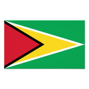 Guyana Flag Foto Afdruk