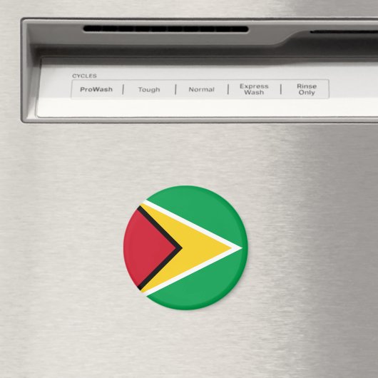 Guyana Flag Magneet (Insitu (Vaatwasser))