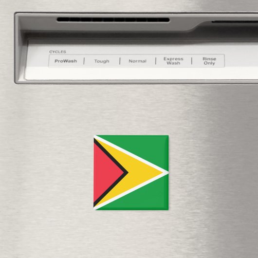 Guyana Flag Magneet (Insitu (Vaatwasser))