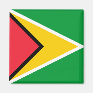 Guyana Flag Magneet