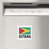 Guyana Flag Magneet (Insitu (Vaatwasser))