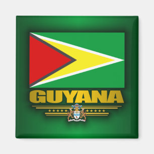 Guyana Flag Magneet