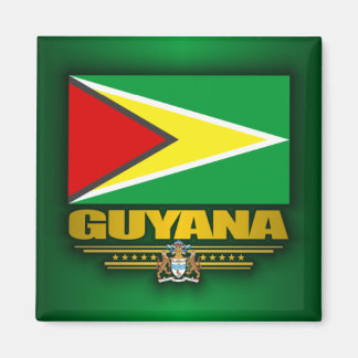 Guyana Flag Magneet