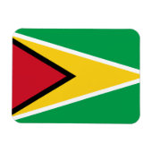 Guyana Flag Magneet (Horizontaal)