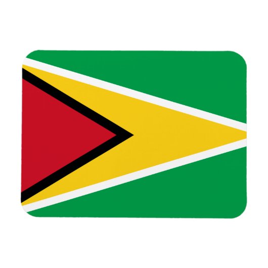 Guyana Flag Magneet (Horizontaal)
