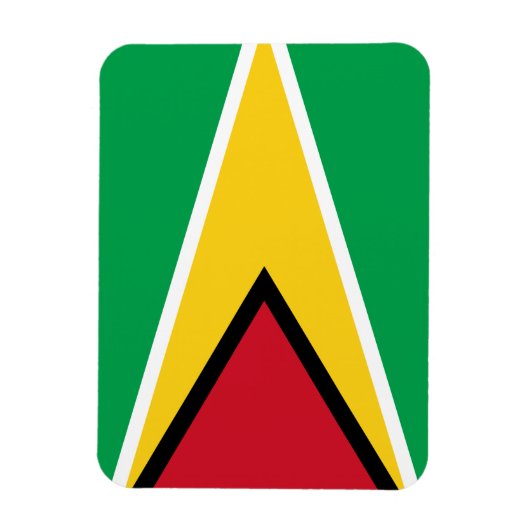 Guyana Flag Magneet (Verticaal)
