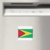 Guyana Flag Magneet (Insitu (Vaatwasser))