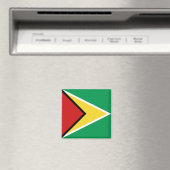 Guyana Flag Magnet (Insitu (Vaatwasser))