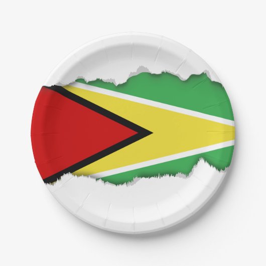 Guyana Flag Papieren Bordje (Voorkant)