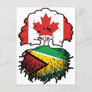 Guyana Guyanese Canadian Canada Tree Roots Flag Briefkaart