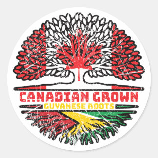 Guyana Guyanese Canadian Canada Tree Roots Flag Ronde Sticker