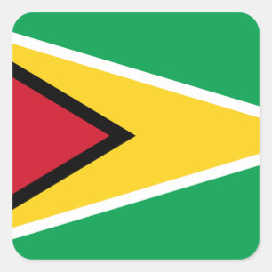 Guyana (Guyanese) vlag Vierkante Sticker