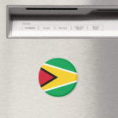 guyana magneet (Insitu (Vaatwasser))