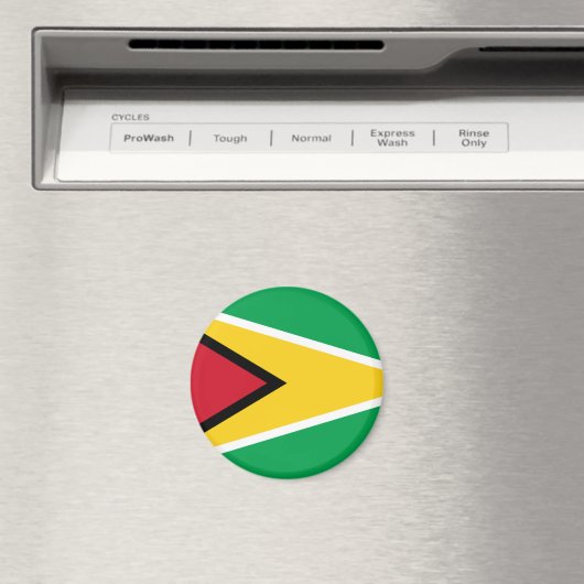 guyana magneet (Insitu (Vaatwasser))