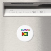 Guyana Magneet (Insitu (Vaatwasser))