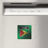 Guyana Magneet (Insitu (Vaatwasser))