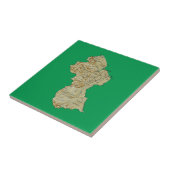 Guyana Map Tile Tegeltje (Zijkant)