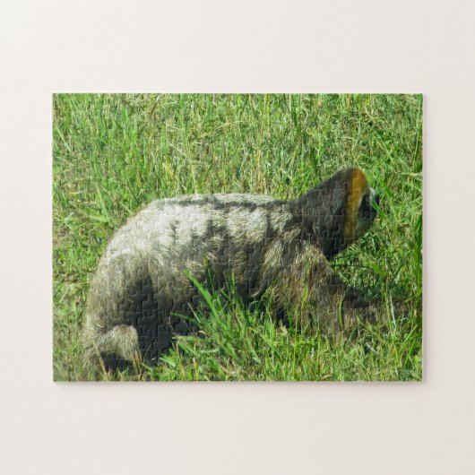 Guyana Sloath. Legpuzzel (Horizontaal)