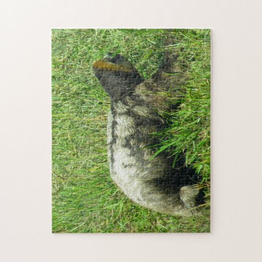 Guyana Sloath. Legpuzzel (Verticaal)