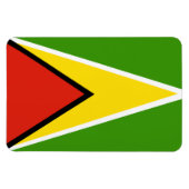 Guyana vlag magneet (Horizontaal)