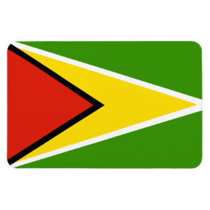 Guyana vlag magneet