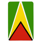 Guyana vlag magneet (Verticaal)