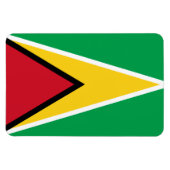 Guyana vlag magneet (Horizontaal)