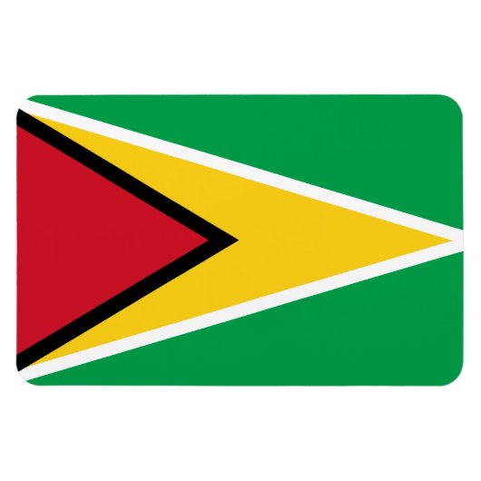 Guyana vlag magneet (Horizontaal)