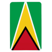 Guyana vlag magneet (Verticaal)