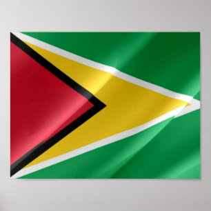 Guyana - Vlaggolven - Poster