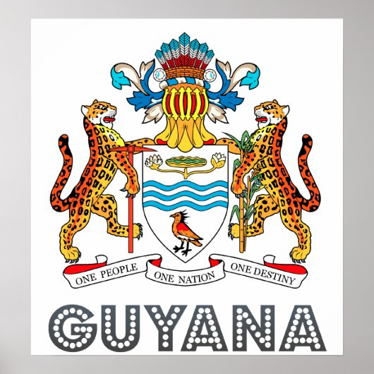 Guyana wapenstilstand poster (Voorkant)