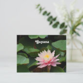 Guyana Water Lily Briefkaart (Staand voorkant)