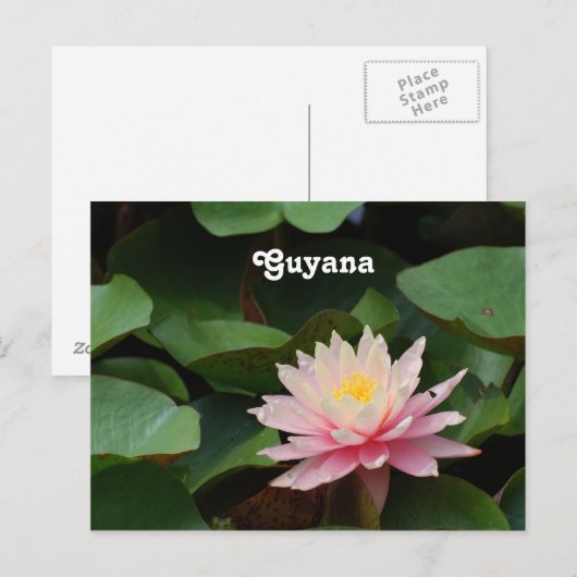 Guyana Water Lily Briefkaart (Voorkant / Achterkant)