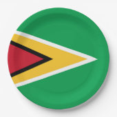 Guyanese vlag papieren bordje (Voorkant)