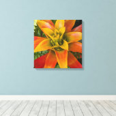 Guzmania Bromeliaceae Plant Bloemstuk Canvas Afdruk (Insitu (Houten vloer))