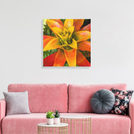Guzmania Bromeliaceae Plant Bloemstuk Canvas Afdruk