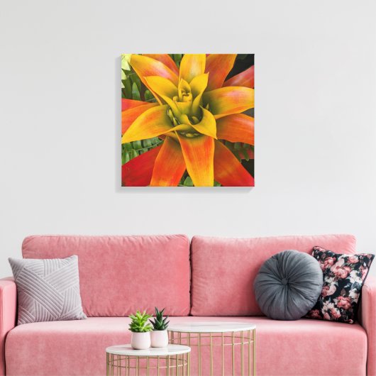 Guzmania Bromeliaceae Plant Bloemstuk Canvas Afdruk (Insitu (Woonkamer))