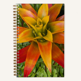Guzmania Bromeliad Plant Bloemstuk Notitieboek