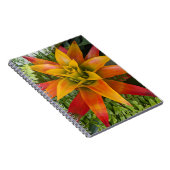 Guzmania Bromeliad Plant Bloemstuk Notitieboek (Rechterzijde)