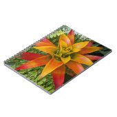 Guzmania Bromeliad Plant Bloemstuk Notitieboek (Linkerzijde)