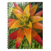 Guzmania Bromeliad Plant Bloemstuk Notitieboek (Voorkant)