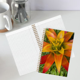 Guzmania Bromeliad Plant Bloemstuk Notitieboek