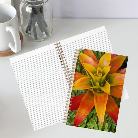 Guzmania Bromeliad Plant Bloemstuk Notitieboek