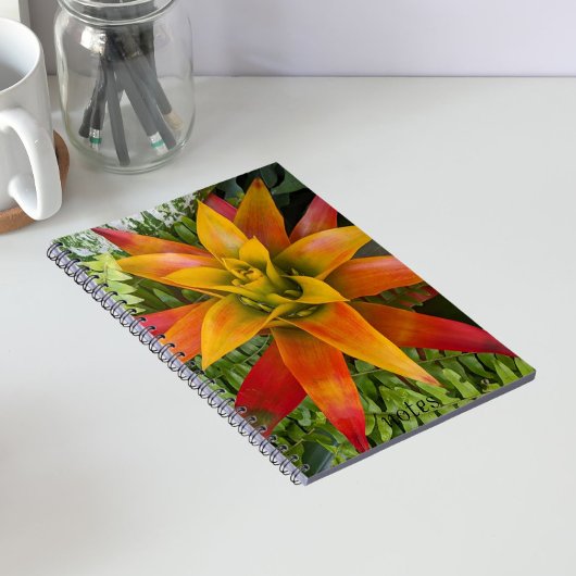 Guzmania Bromeliad Plant Bloemstuk Notitieboek