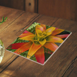 Guzmania Bromeliad Plant Bloemstuk Tegeltje