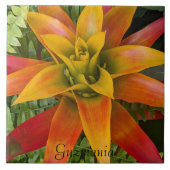 Guzmania Bromeliad Plant Bloemstuk Tegeltje (Voorkant)
