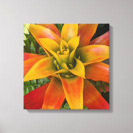 Guzmania Bromeliad Plant Floral Canvas Afdruk